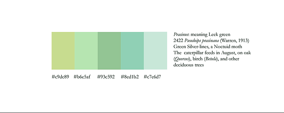 Screen Shot 2016-05-30 at 19.25.40 copy